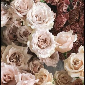 Meet your Posher, Guadalupe